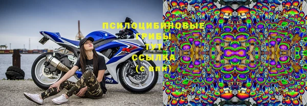 прущие грибы Алексеевка