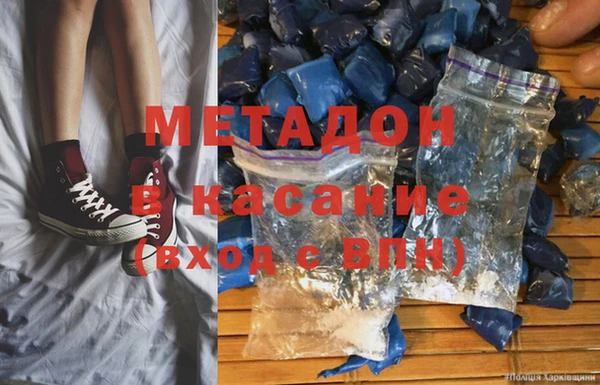 прущие грибы Алексеевка