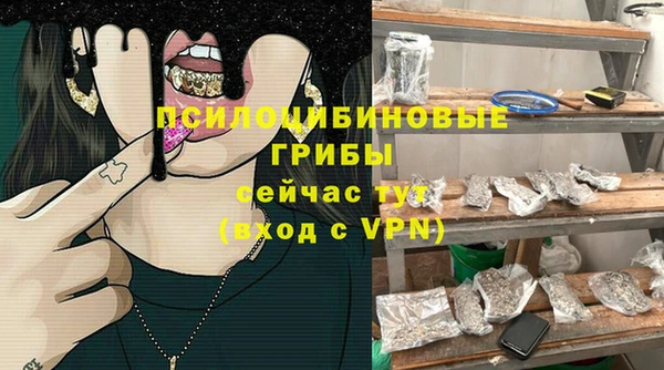 прущие грибы Алексеевка