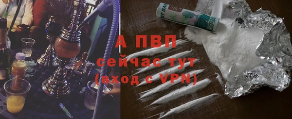 шишки Абаза