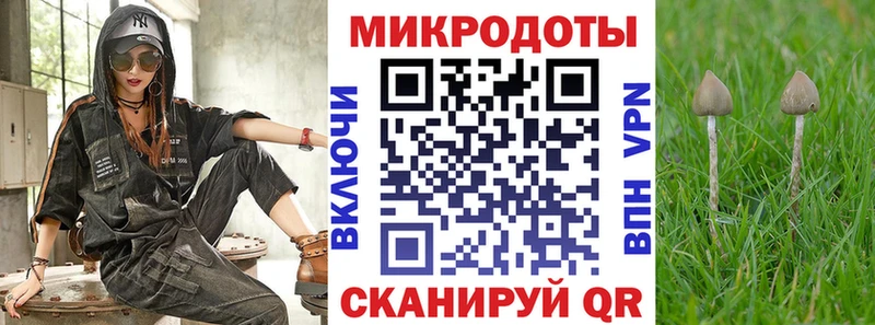 Галлюциногенные грибы прущие грибы  дарнет шоп  Карпинск 